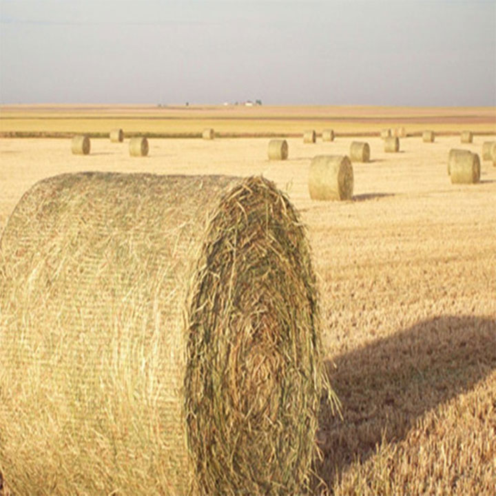 HDPE Biodegradable Bale Wrap Net for Agriculture